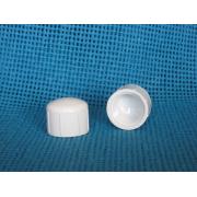 Cap Fipt Sch 40 PVC