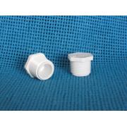 Plug Mipt Sch 40 PVC